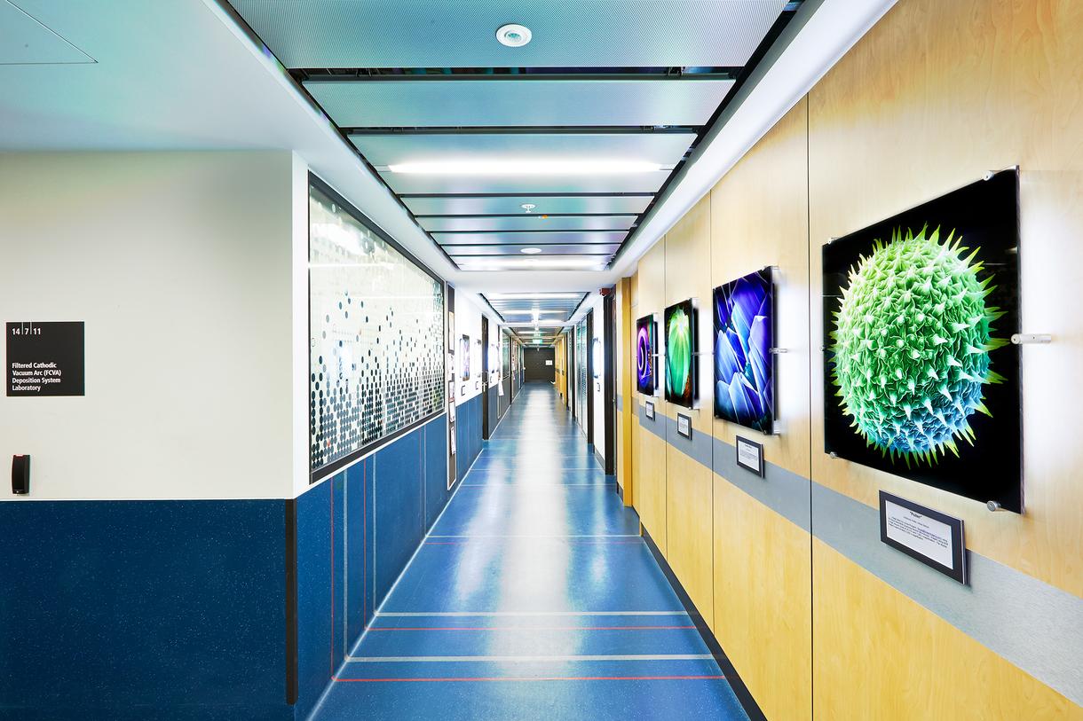 RMIT Microscopy and Microanalysis Facility